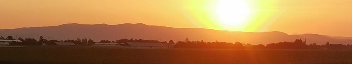 Sun and Run in Haidlfing